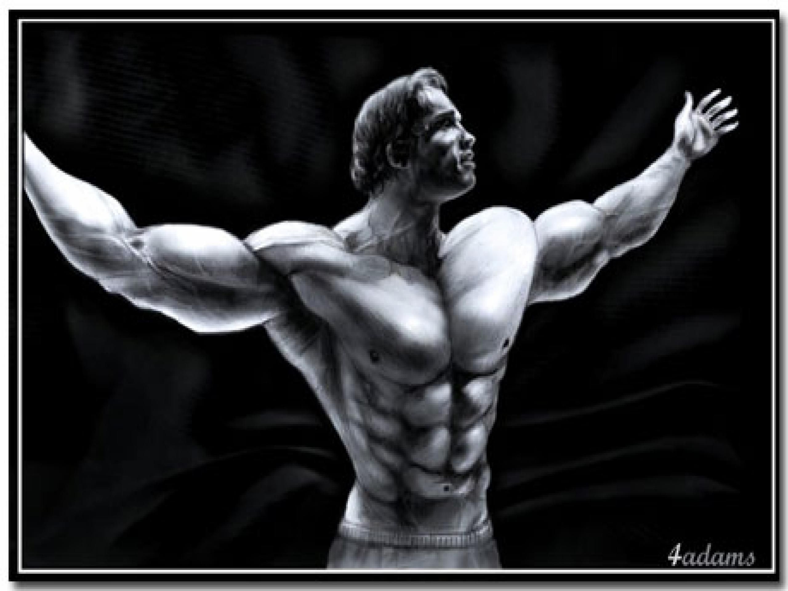 Arnold Schwarzenegger Wallpaper FREE Picture