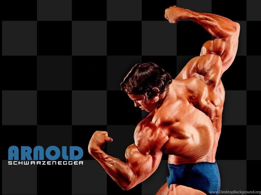 Download Bodybuilding Arnold Px Arnold Schwarzenegger Wallpaper