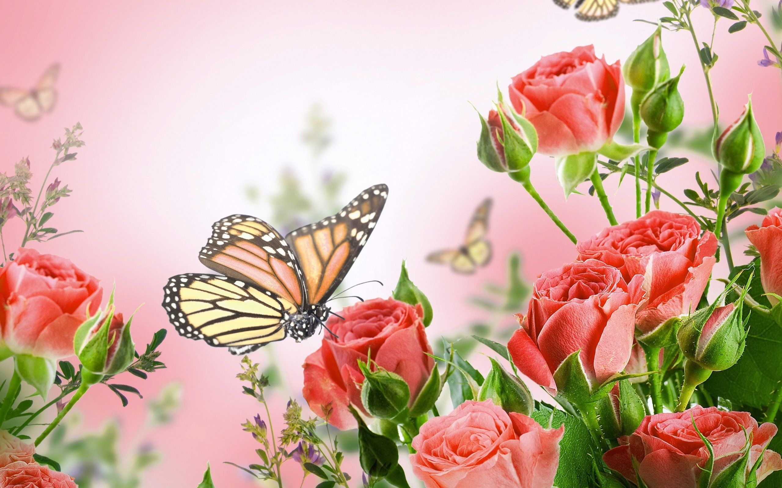 Flowers And Butterfly Wallpapers - Wallpaper Cave