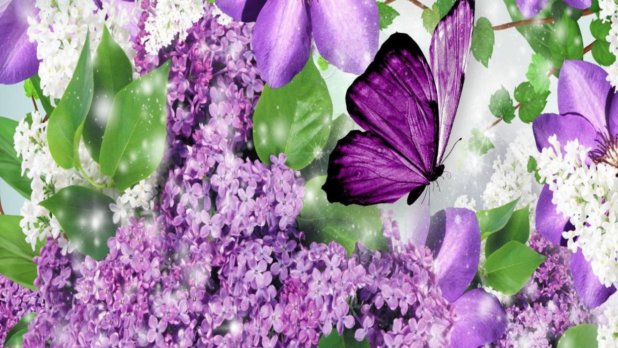 Purple flowers and purple butterfly wallpaperx1080