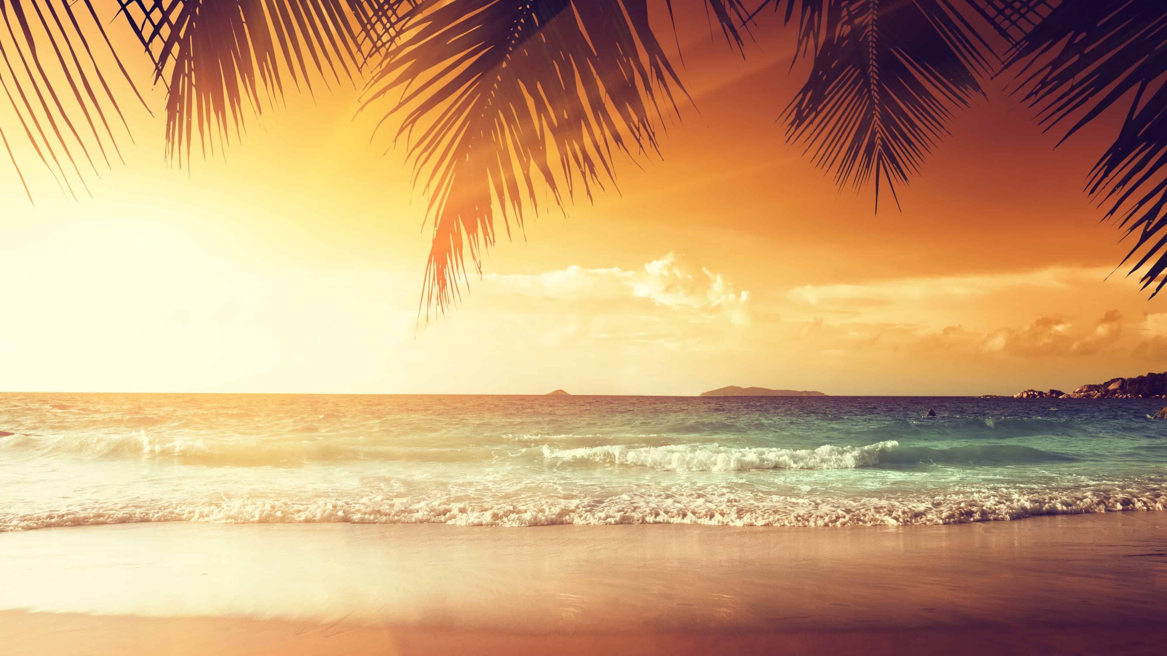 Palm Trees And Tropical Beach Wallpapers Wallpaper Cave Palm Trees And Tropical Beach Wallpapers Wallpaper Cave