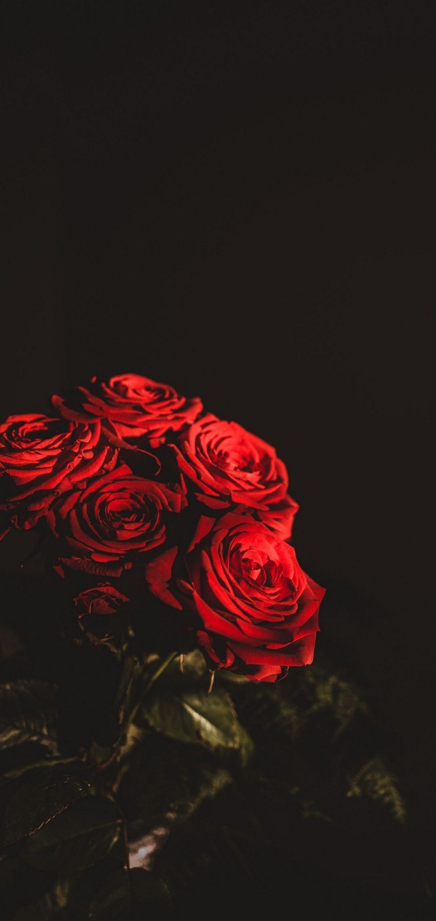 Free download Dark Red Flowers Bouquet Wallpaper [1440x3040] [1440x3040] for your Desktop, Mobile & Tablet. Explore Wallpaper Flowers Image. Flowers Wallpaper for Desktop, Floral Wallpaper