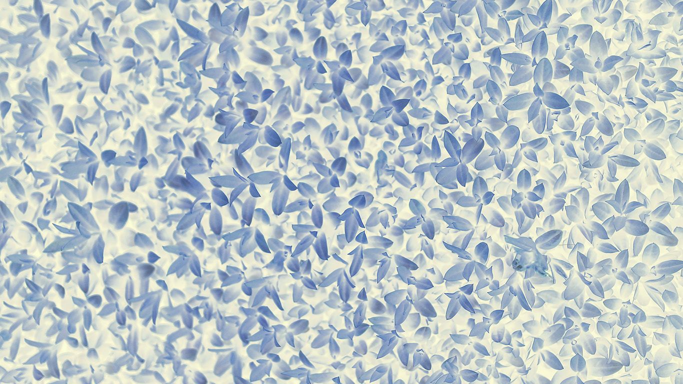 wallpaper for desktop, laptop. nature blue white leaf grass