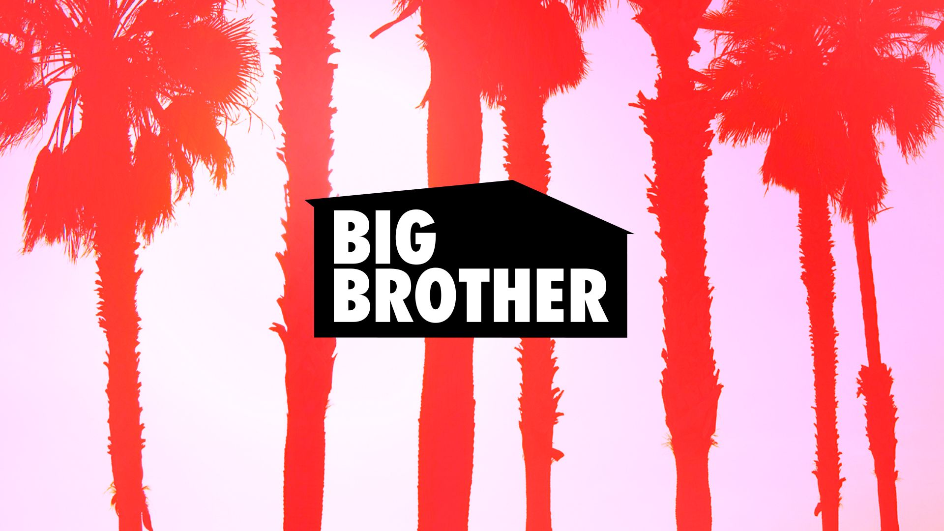 Big Brother Wallpaper Image Wallpaper 1920x1080