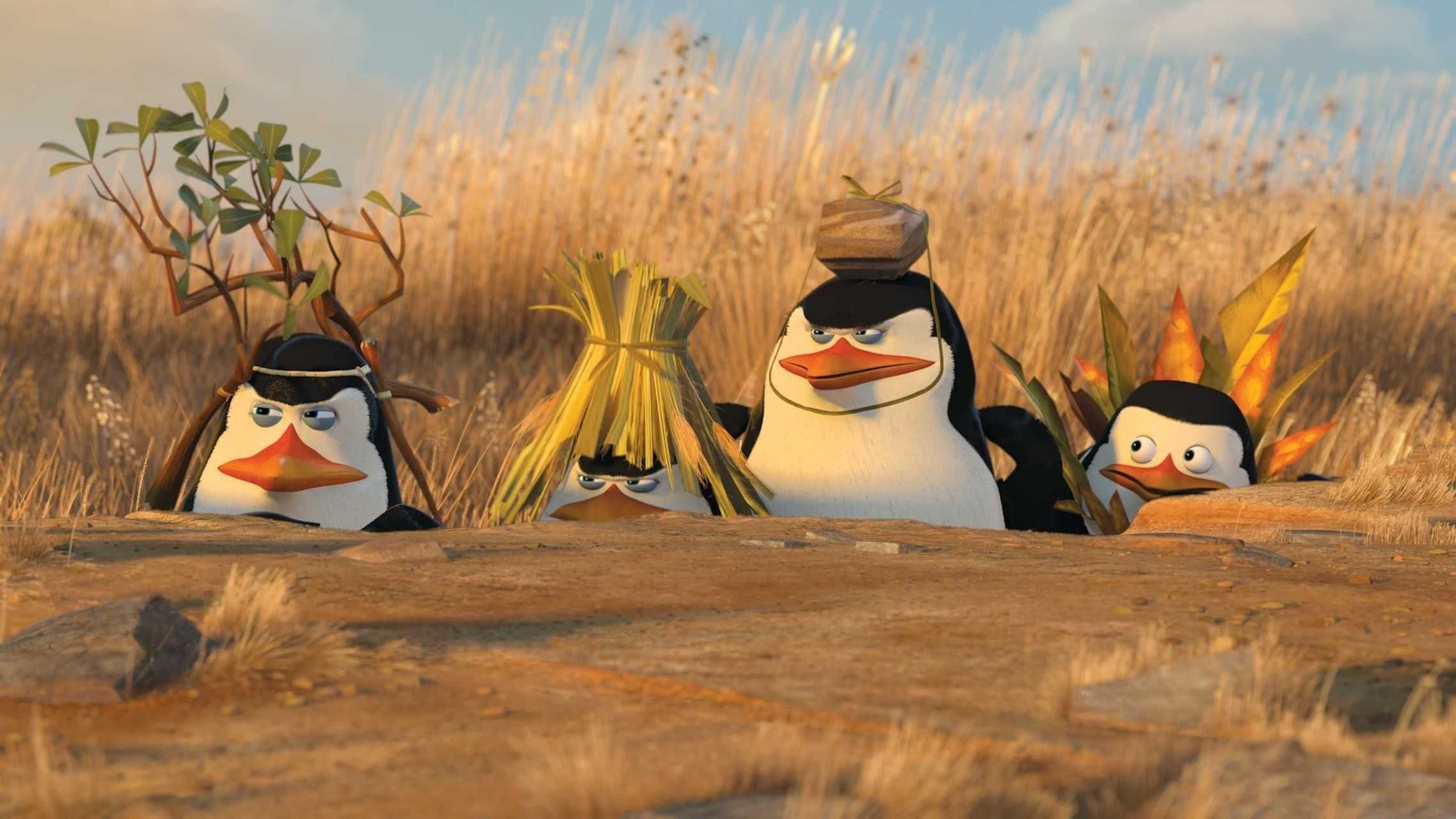 desktop wallpaper for penguins of madagascar. Pinguins de