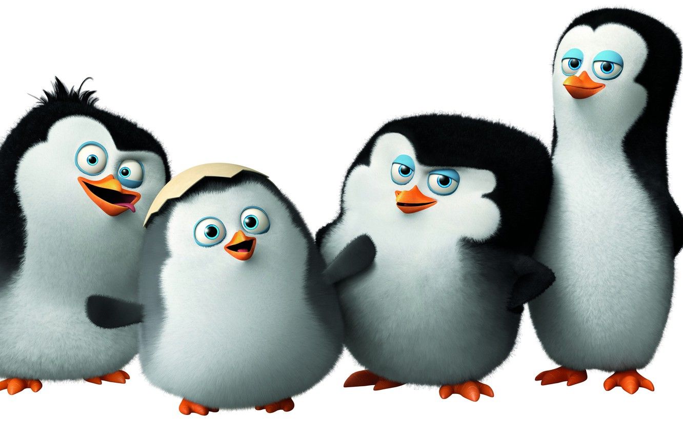 Wallpaper cartoon, Classified, Penguins of Madagascar