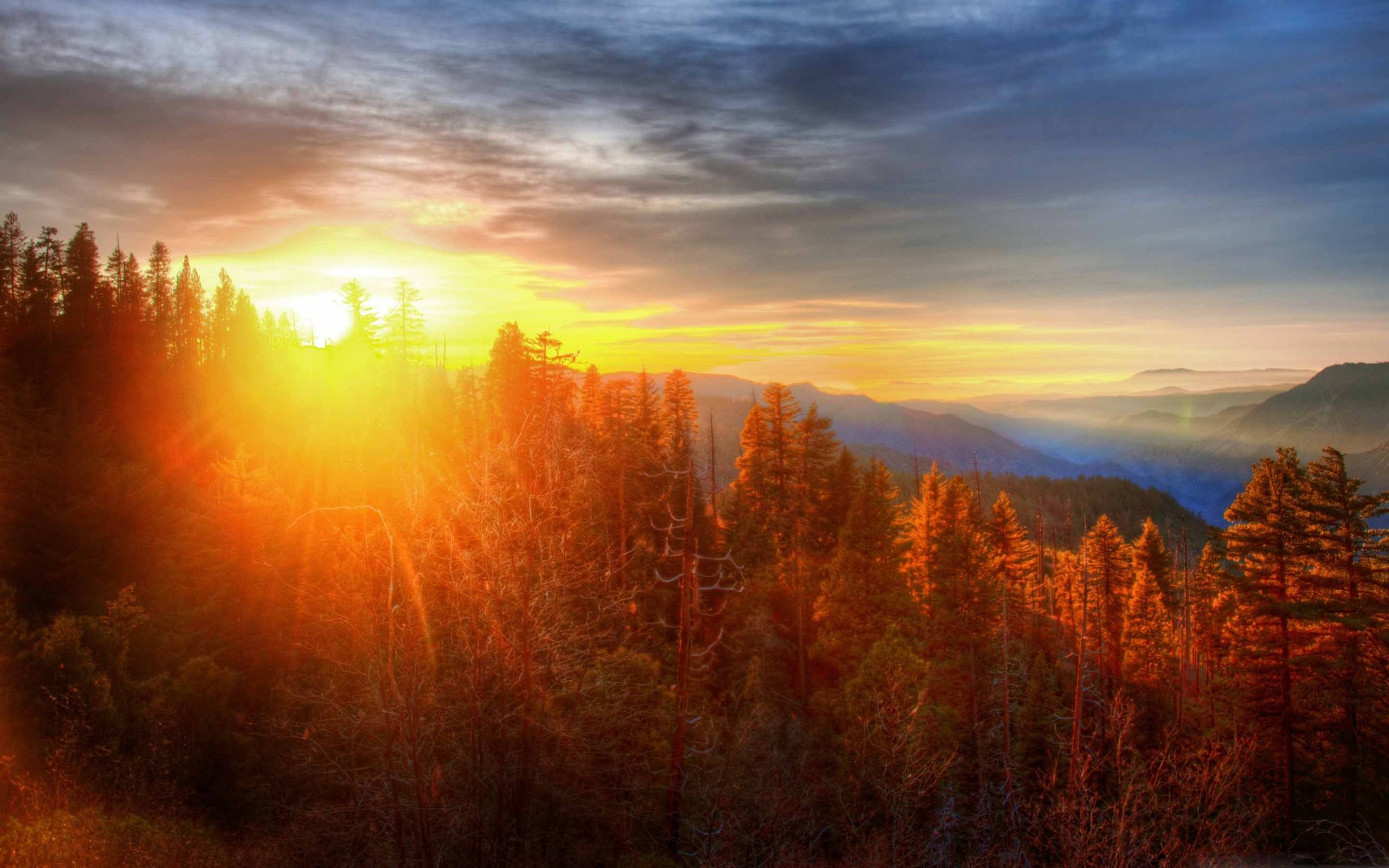 Sunset Over Forest Mac Wallpaper Download