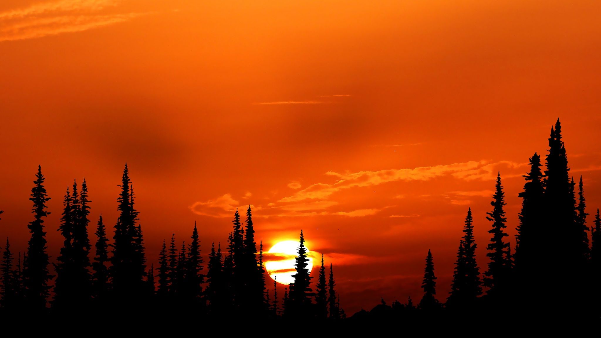 Sunset Over The Forest Wallpapers - Wallpaper Cave