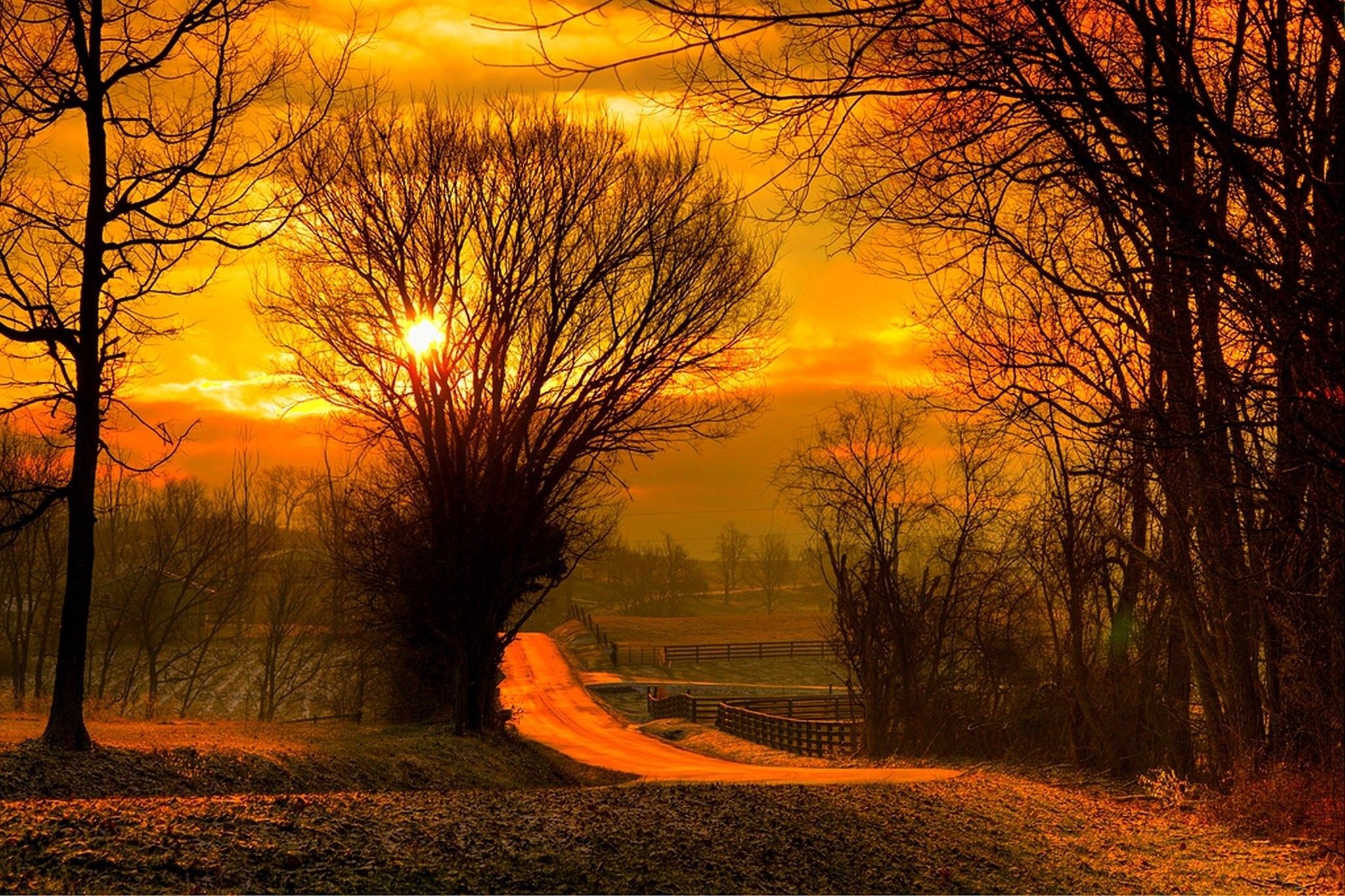Forest, Landscapes, sun, HD Image, Nature, HD Sunrise Wallpaper