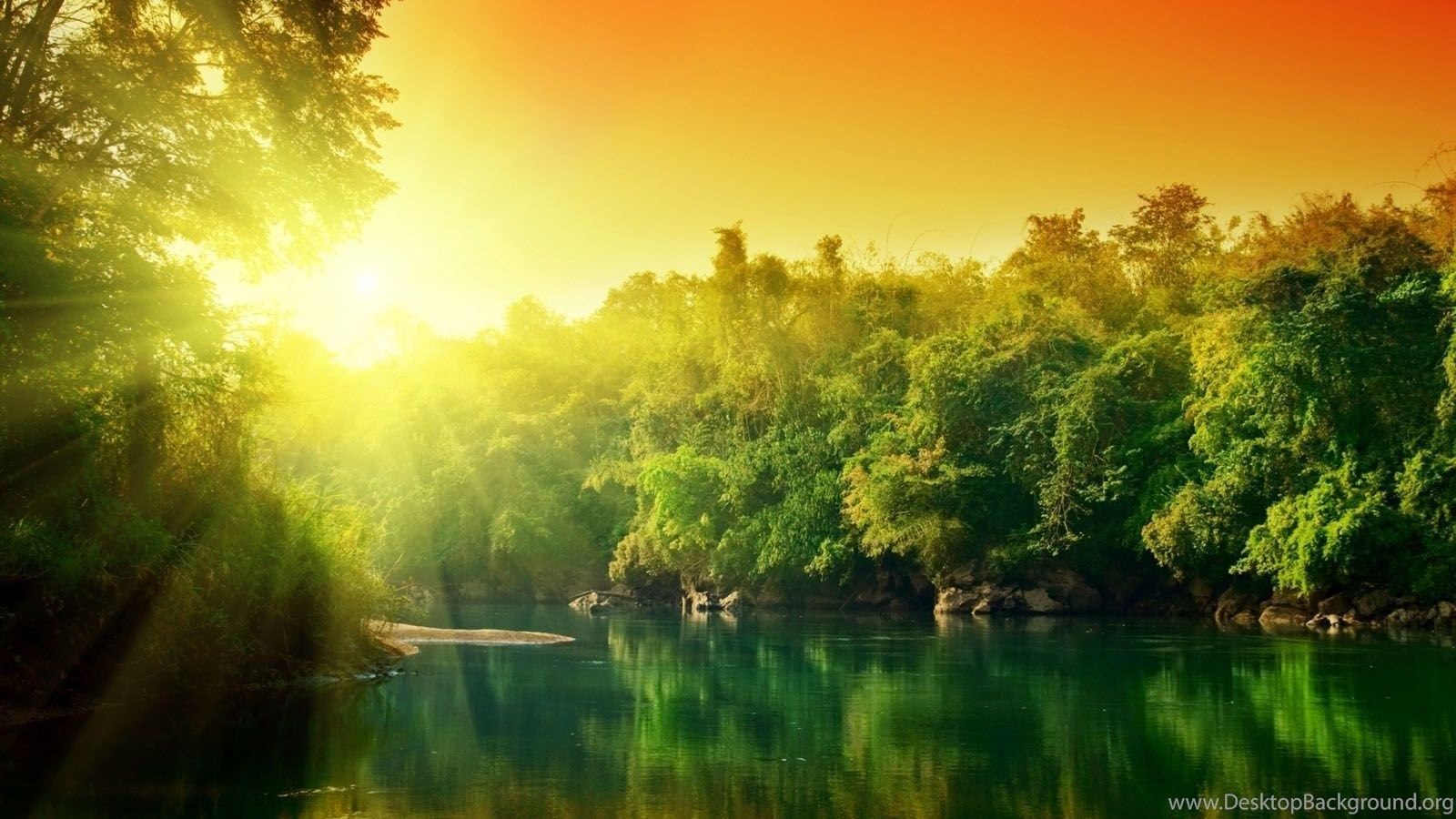 Beautiful Sunset On Forest Wallpaper HD Desktop Background