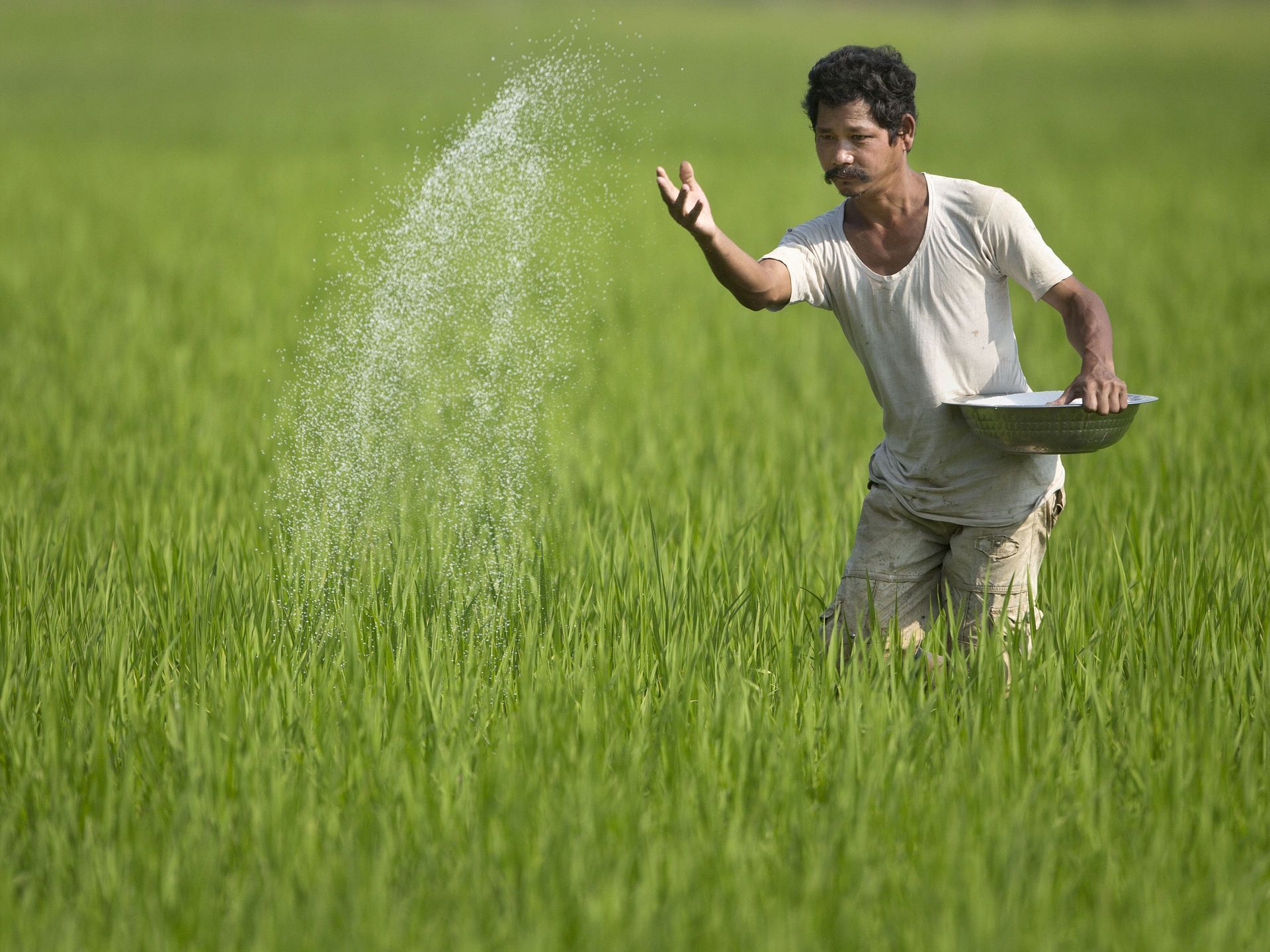 The day in picture. Agriculture photography, Rural photography, Village photo