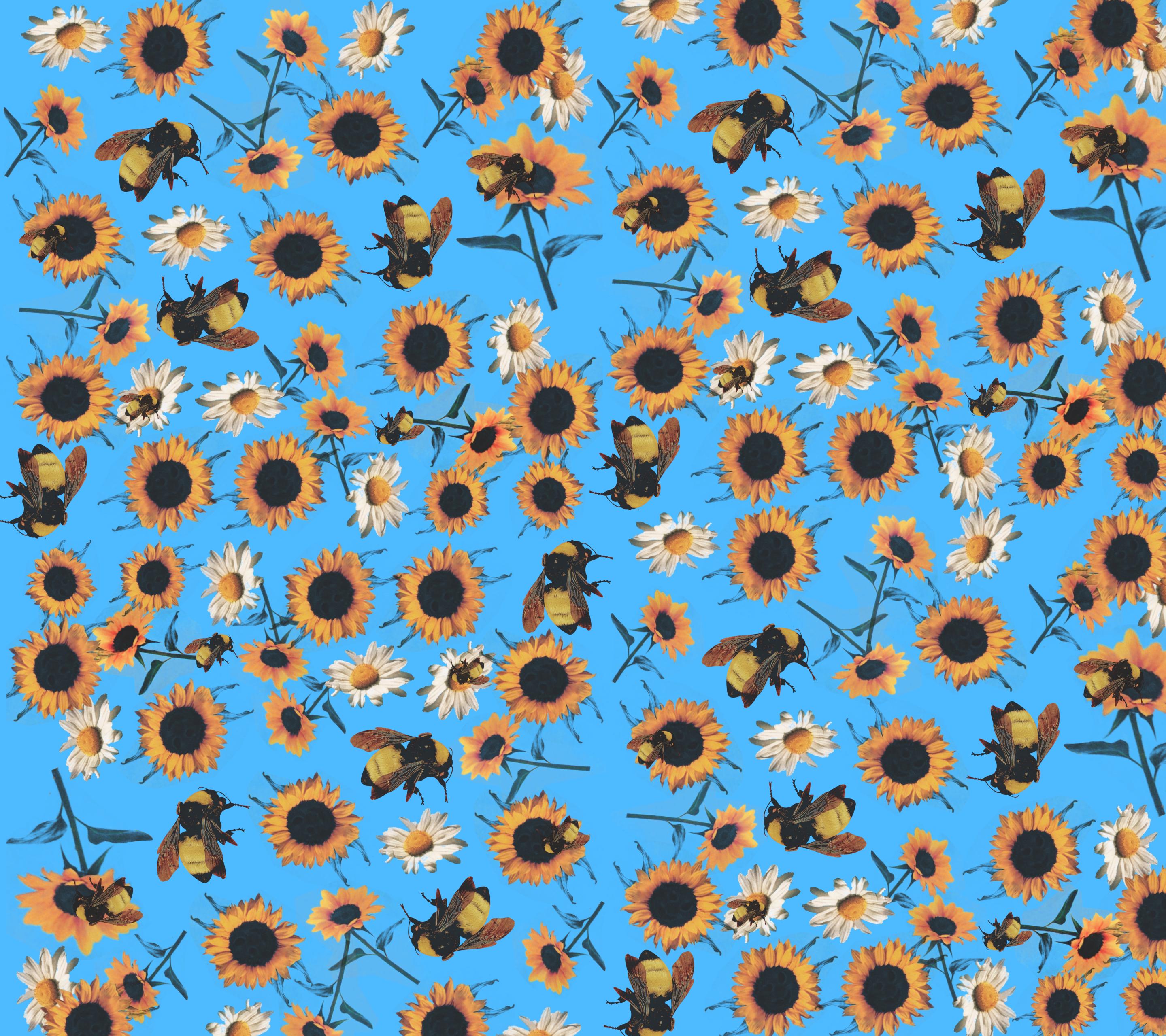 flower boy wallpaper