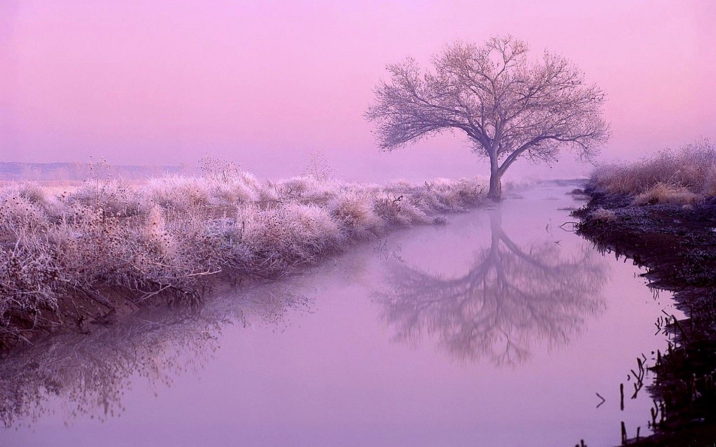 Purple Scenery Wallpaper