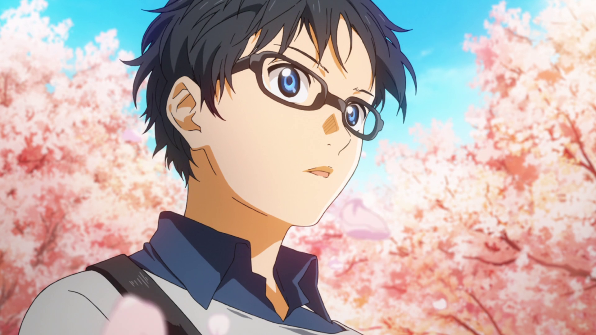 Shigatsu Wa Kimi No Uso Arima Kousei Anime Boys Anime White Background Blue  Eyes Glasses Wallpaper - Resolution:1920x1080 - ID:522934 - wallha.com