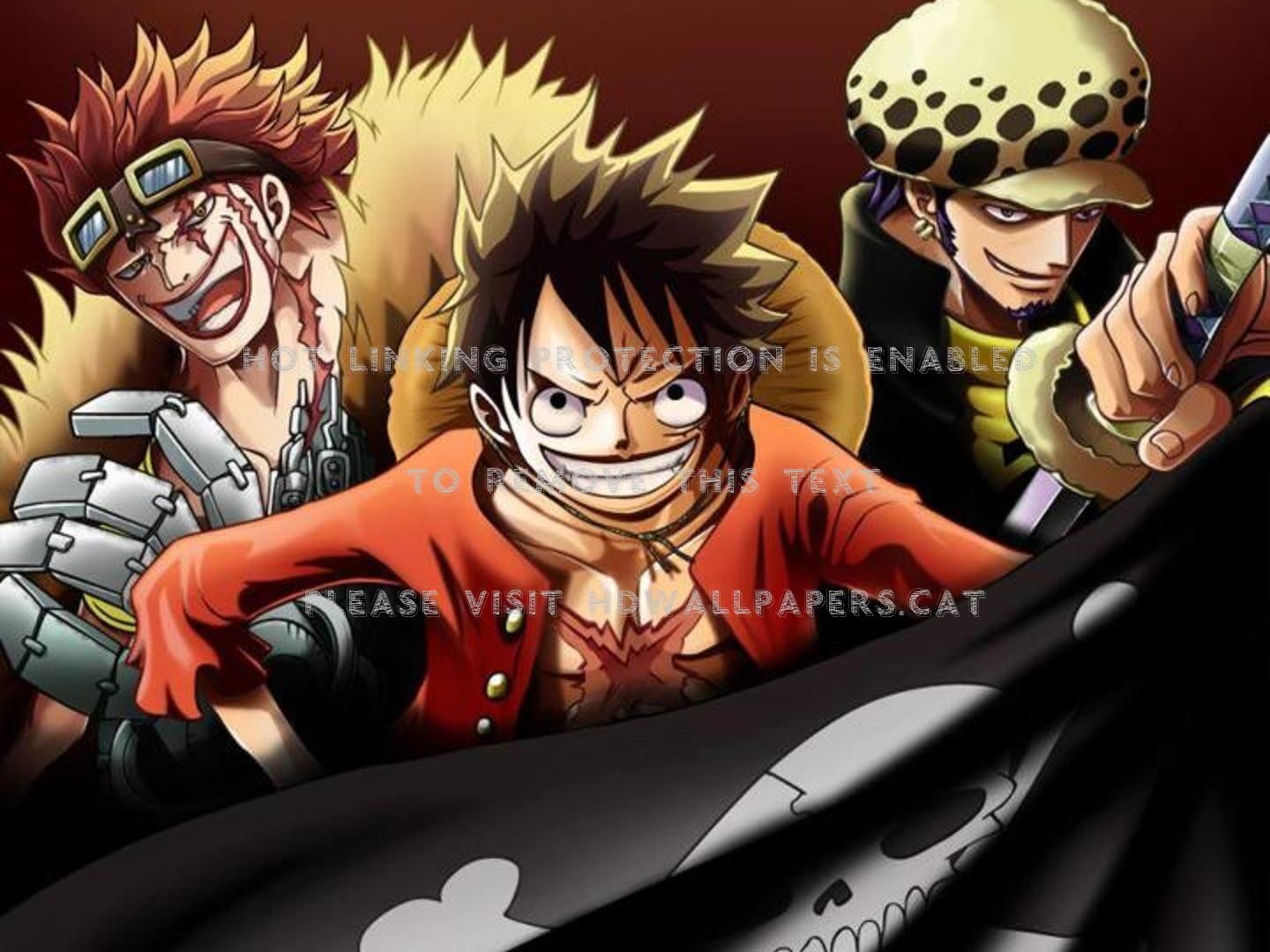 eustass kid monkey d. luffy trafalgar law