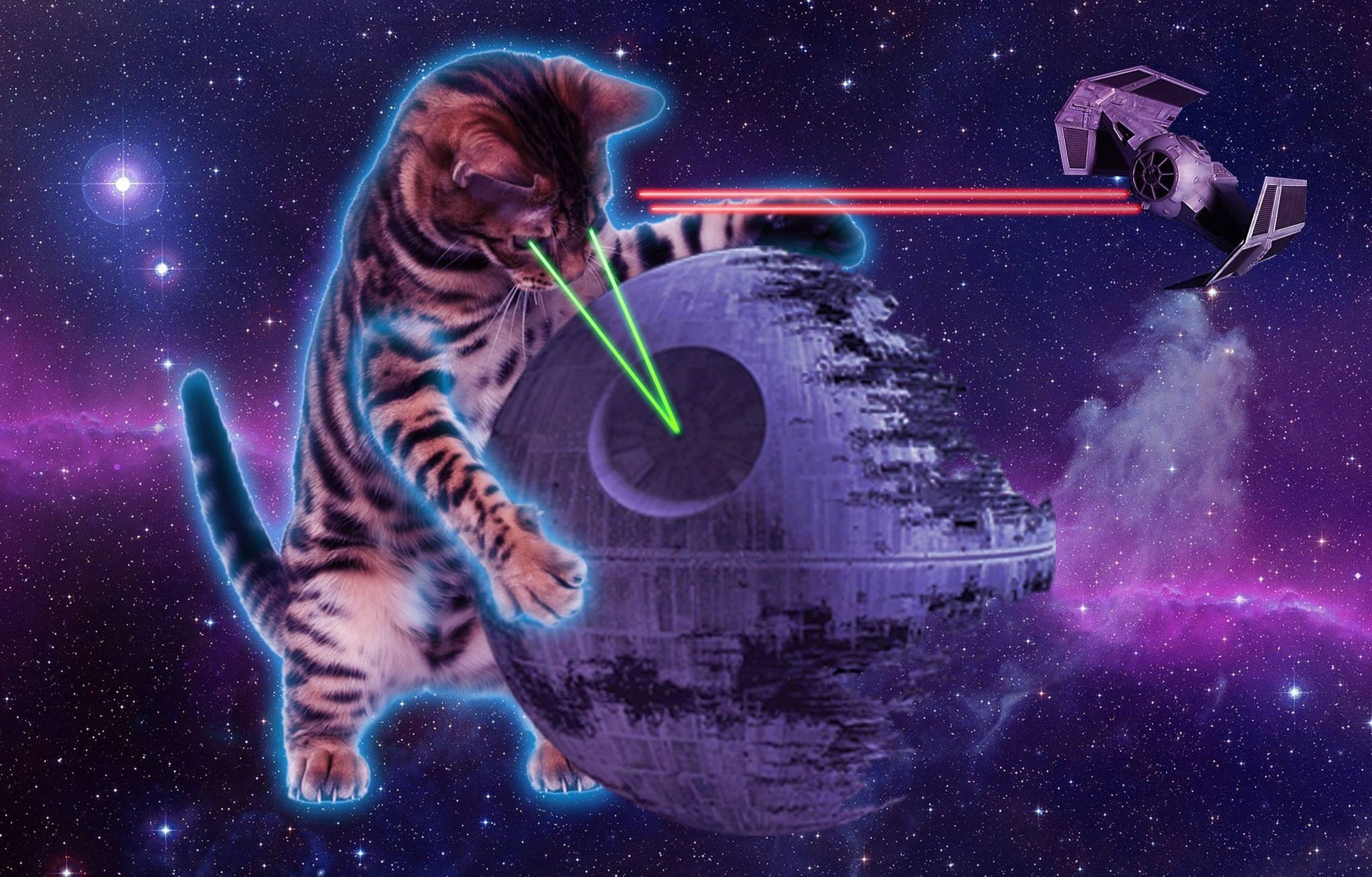 Space Cat Wallpaper