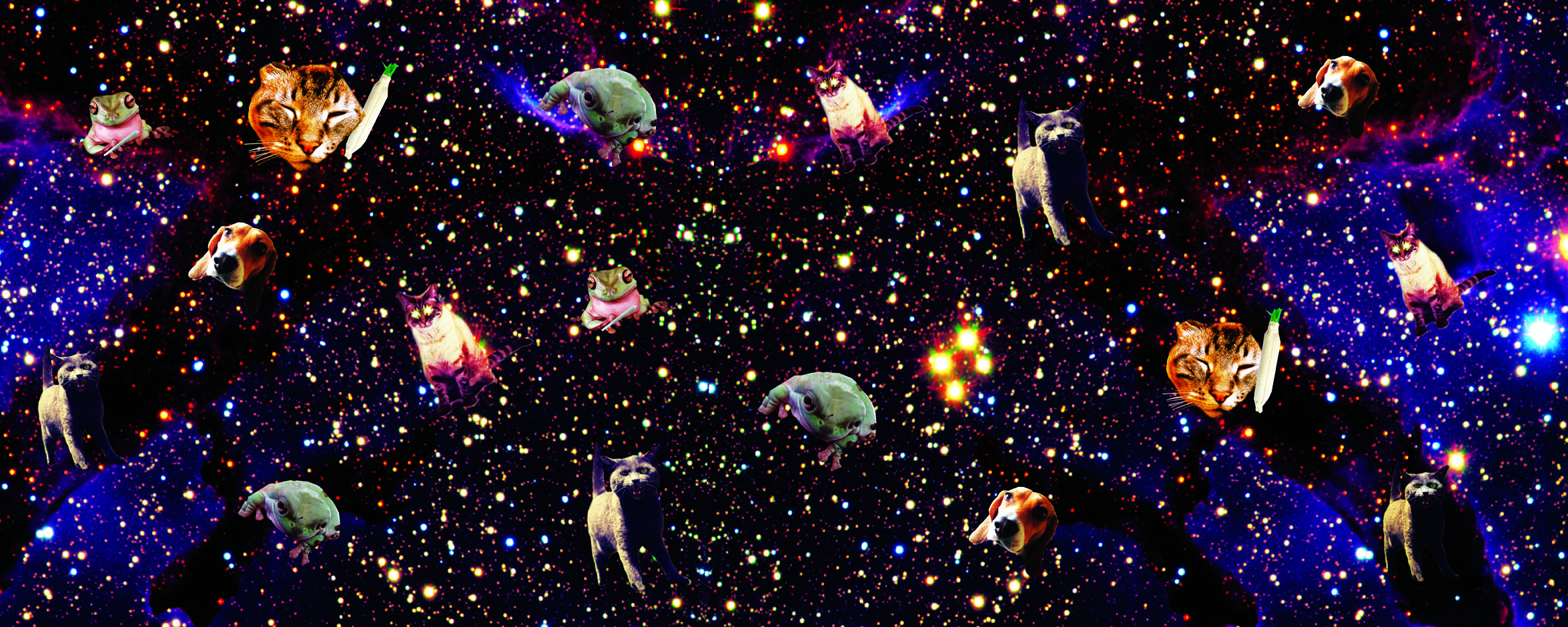 Space Kitty Wallpaper