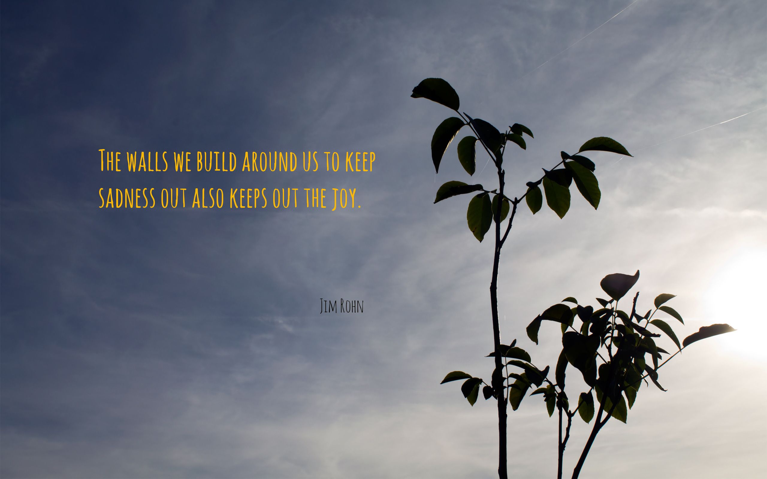 Said Wallpaper. I Said Wallpaper Kylo