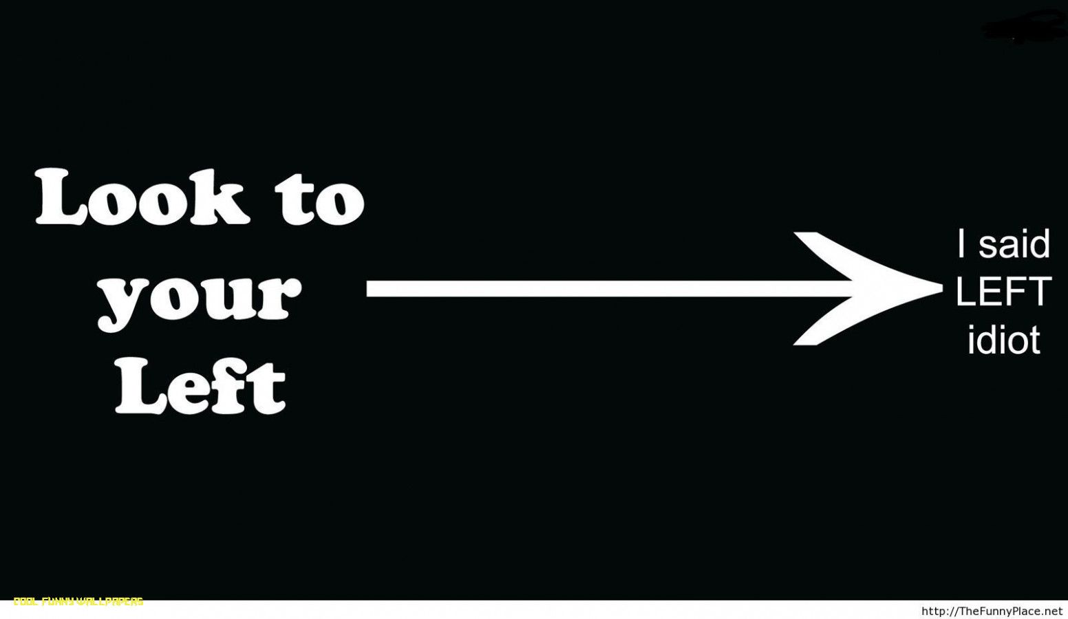 HUMOUR & QUOTES funny wallpaper