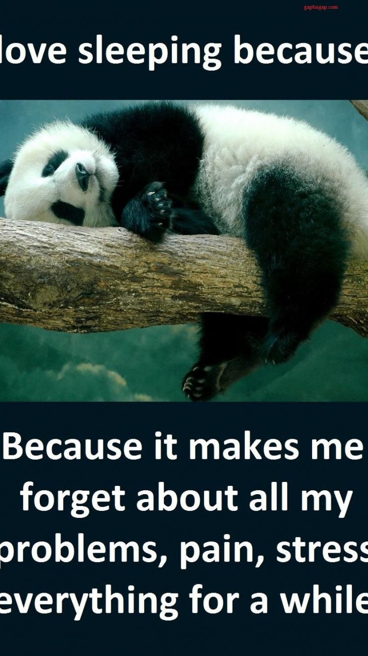 Free download Cute Sleeping Panda Well Said Inspirational Quotes