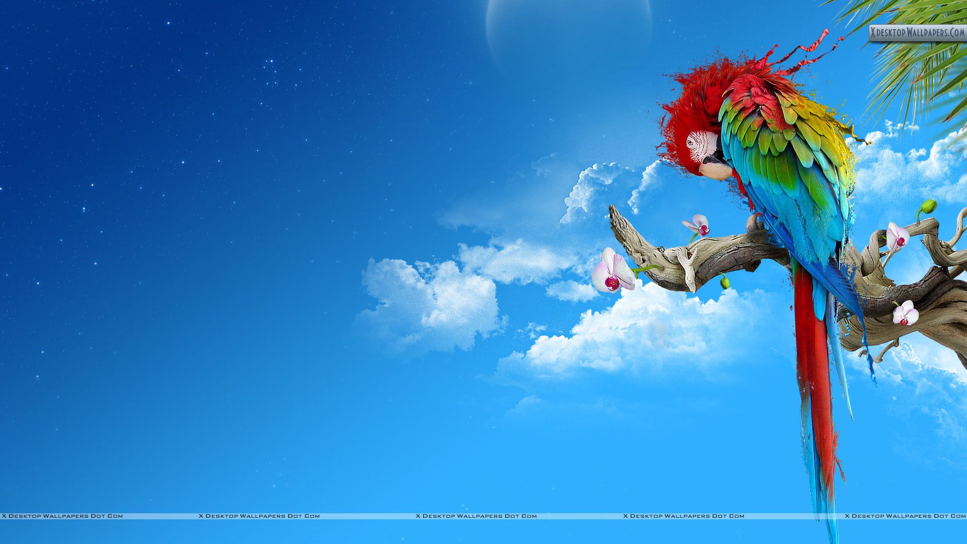 Branch Birds Wallpaper