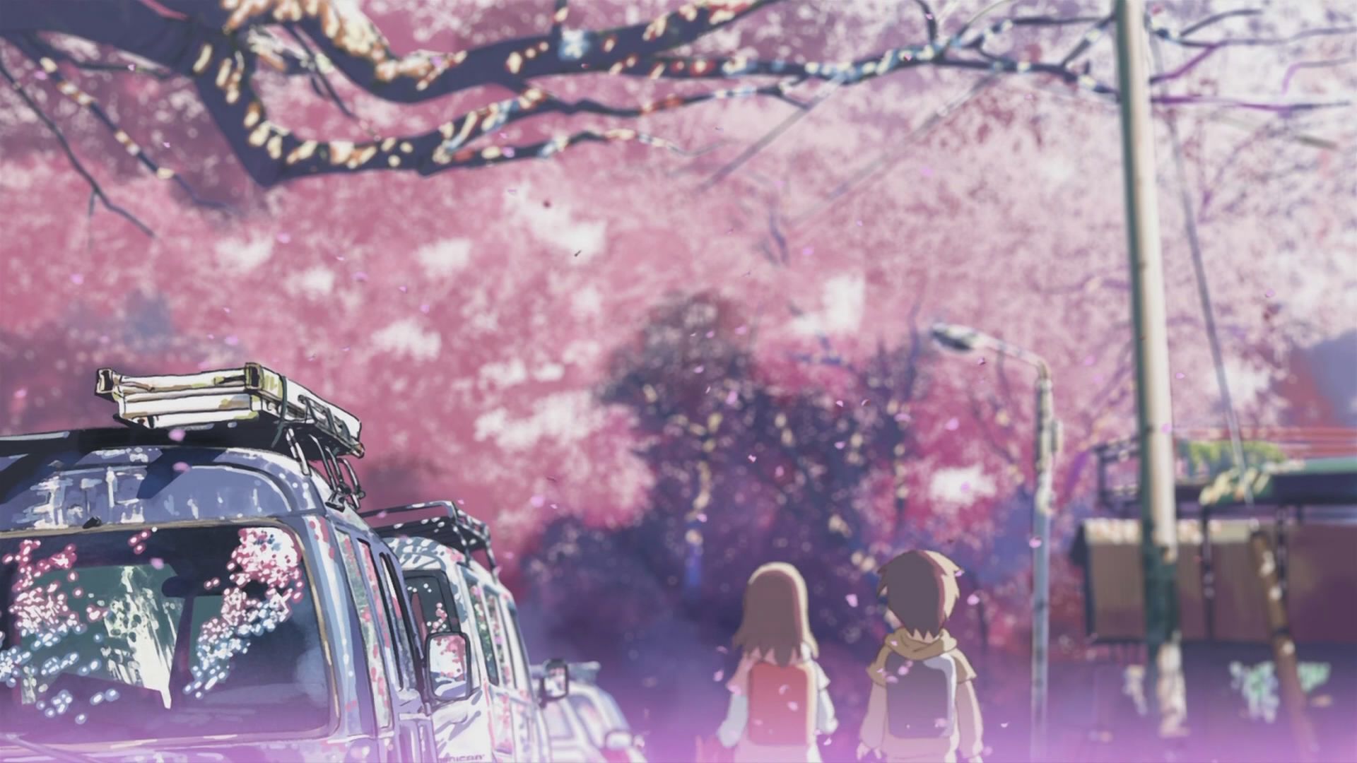 They say it's five centimeters per second. The speed at which the cherry blossoms fall.«. Anime wallpaper, Anime aesthetic wallpaper, Anime computer wallpaper