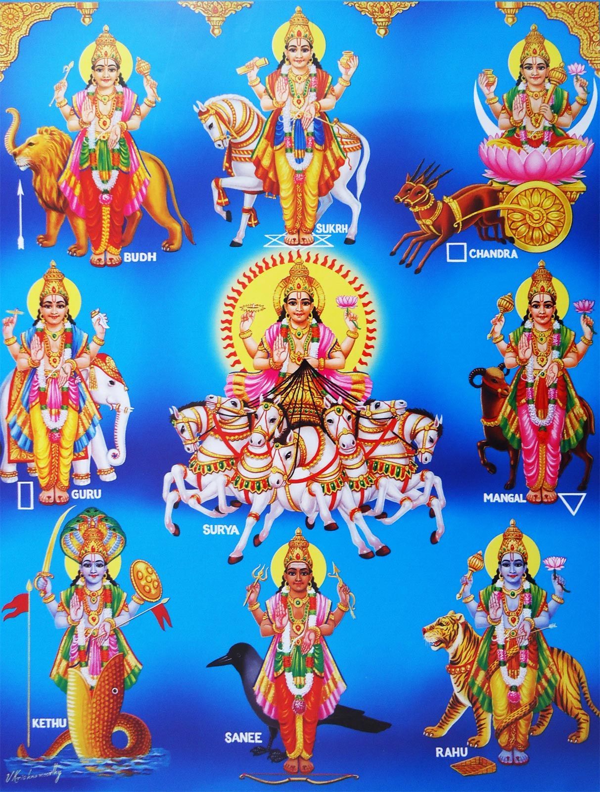 Brahmatells Store: Premium Rudraksha, Gemstones, Yantras & Astrological  Accessories