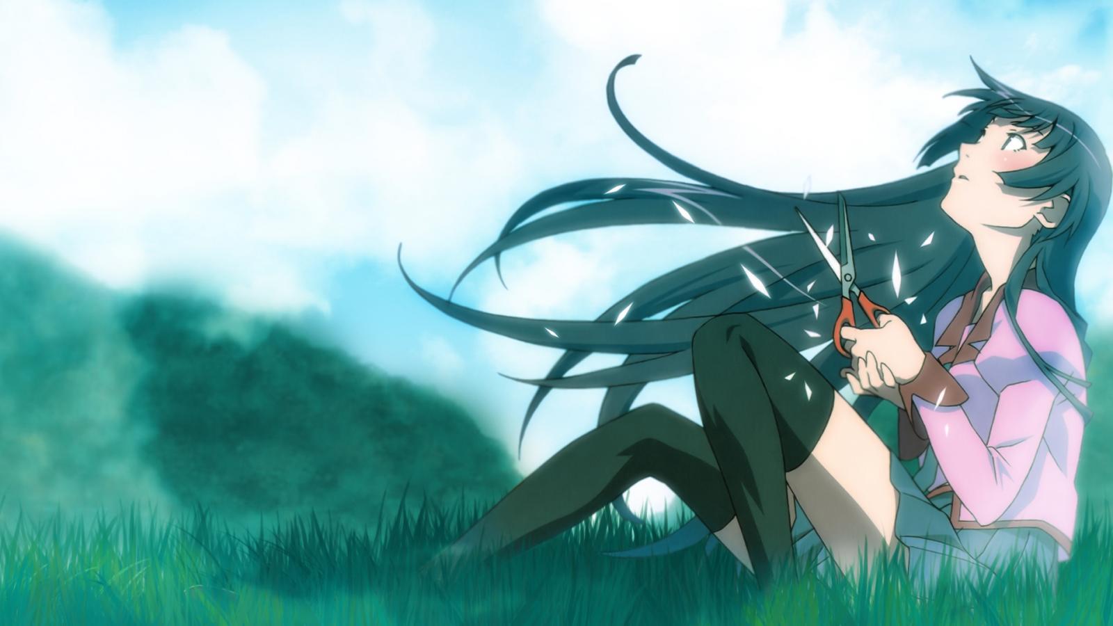 Hitagi Senjougahara from Monogatari, Anime Wallpaper