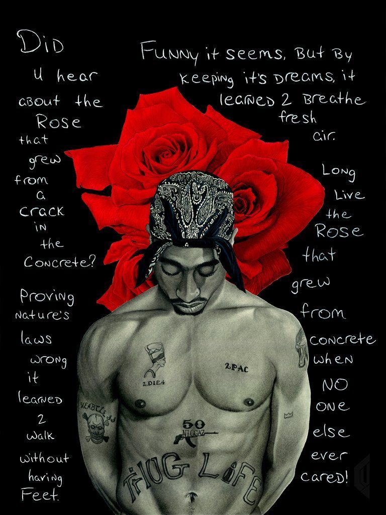 The Rose That Grew From Concrete. Tupac picture, Tupac wallpaper