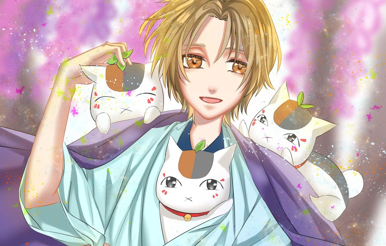 Wallpaper cat, guy, Natsume Yuujinchou, Madara, youkai, Book