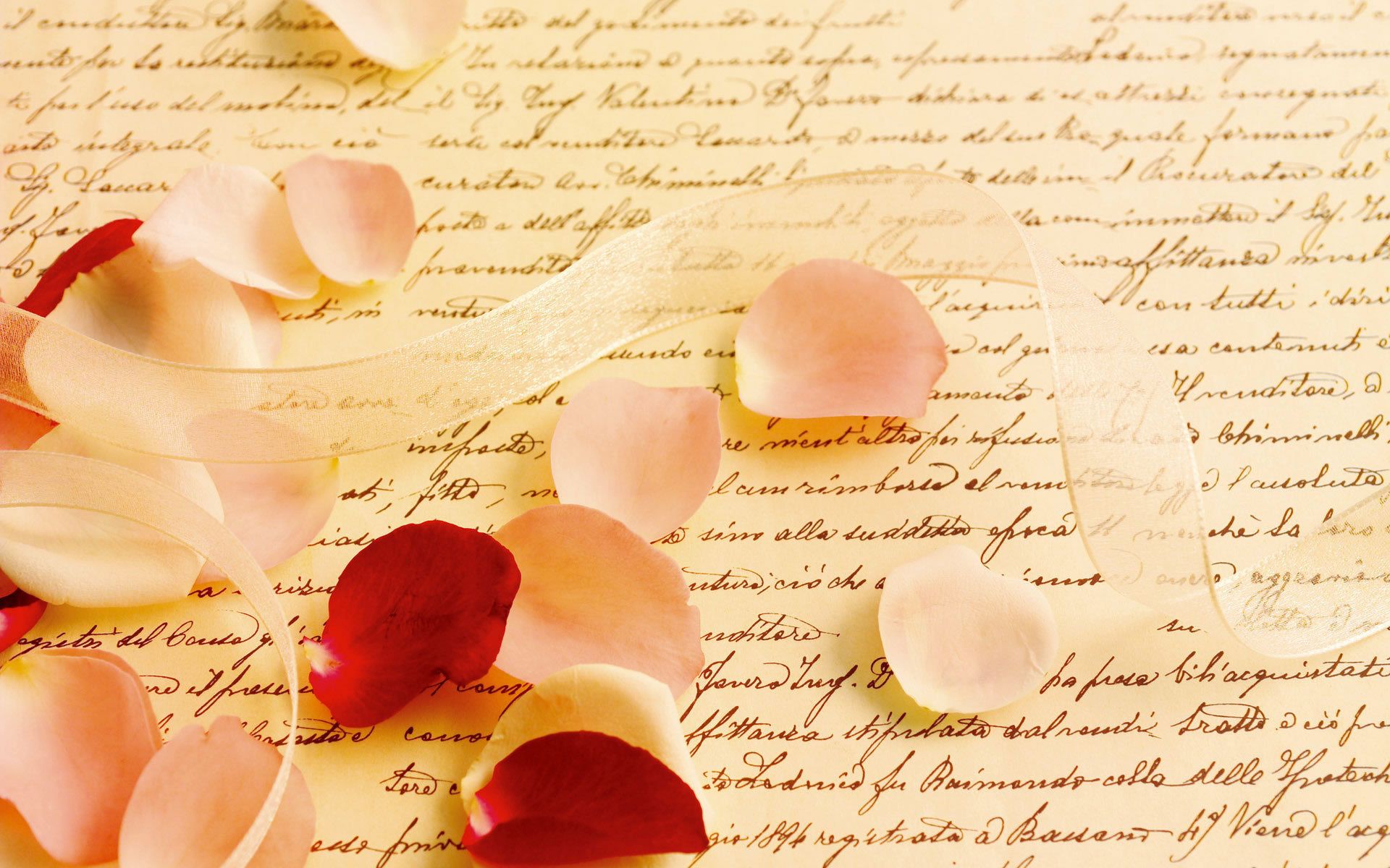 Letter rose petals