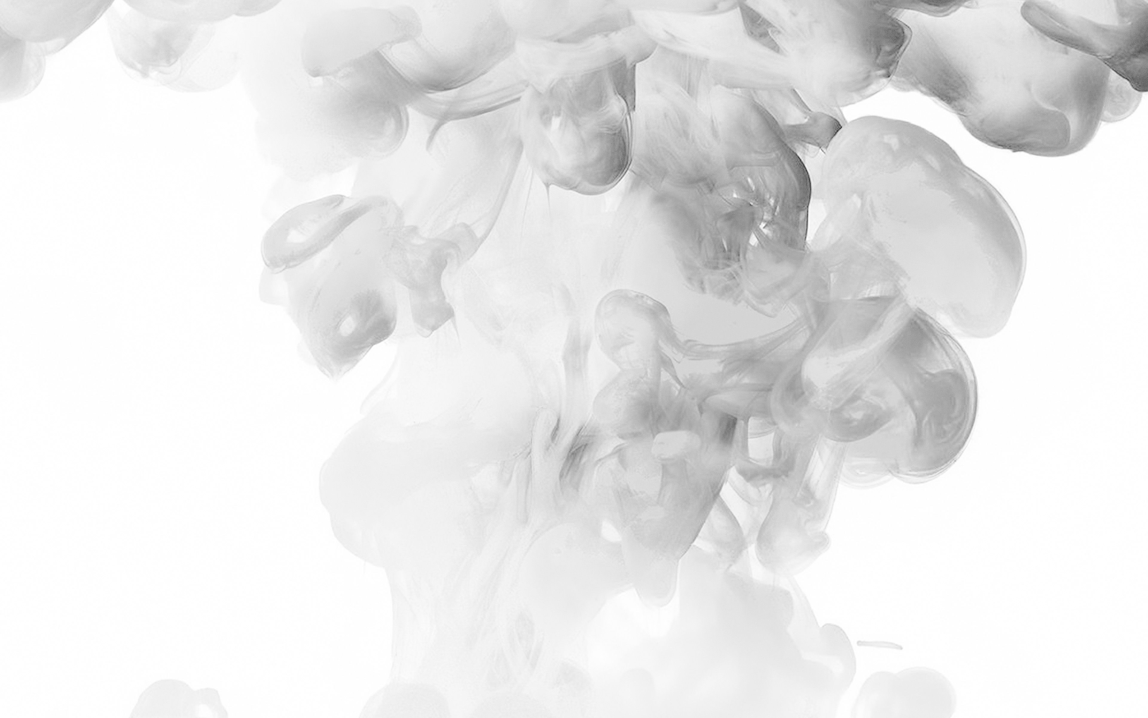 Smoke White Bw Abstract Fog Art Illust