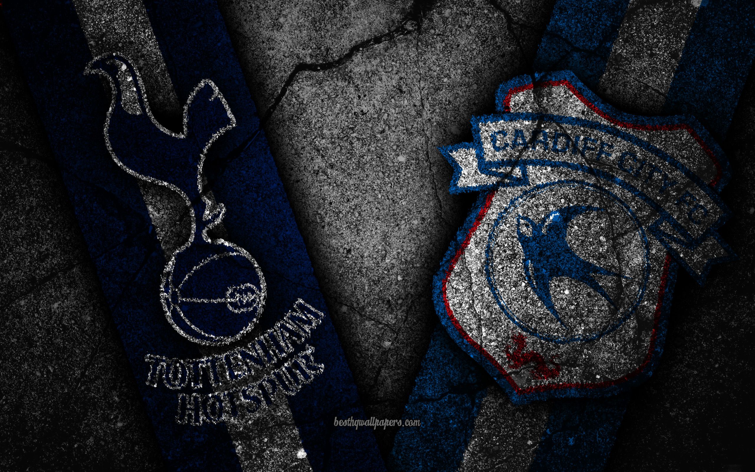 Download wallpaper Tottenham vs Cardiff City, Round 8, Premier