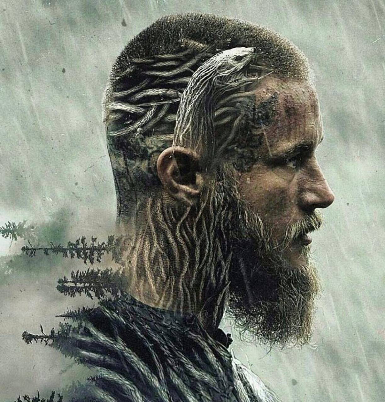 Vikings Ragnar Wallpaper