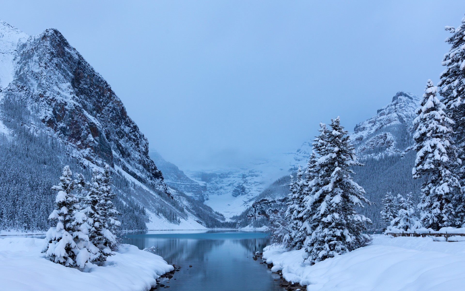 Download wallpaper forest, snow, mountains, winter, lake louise