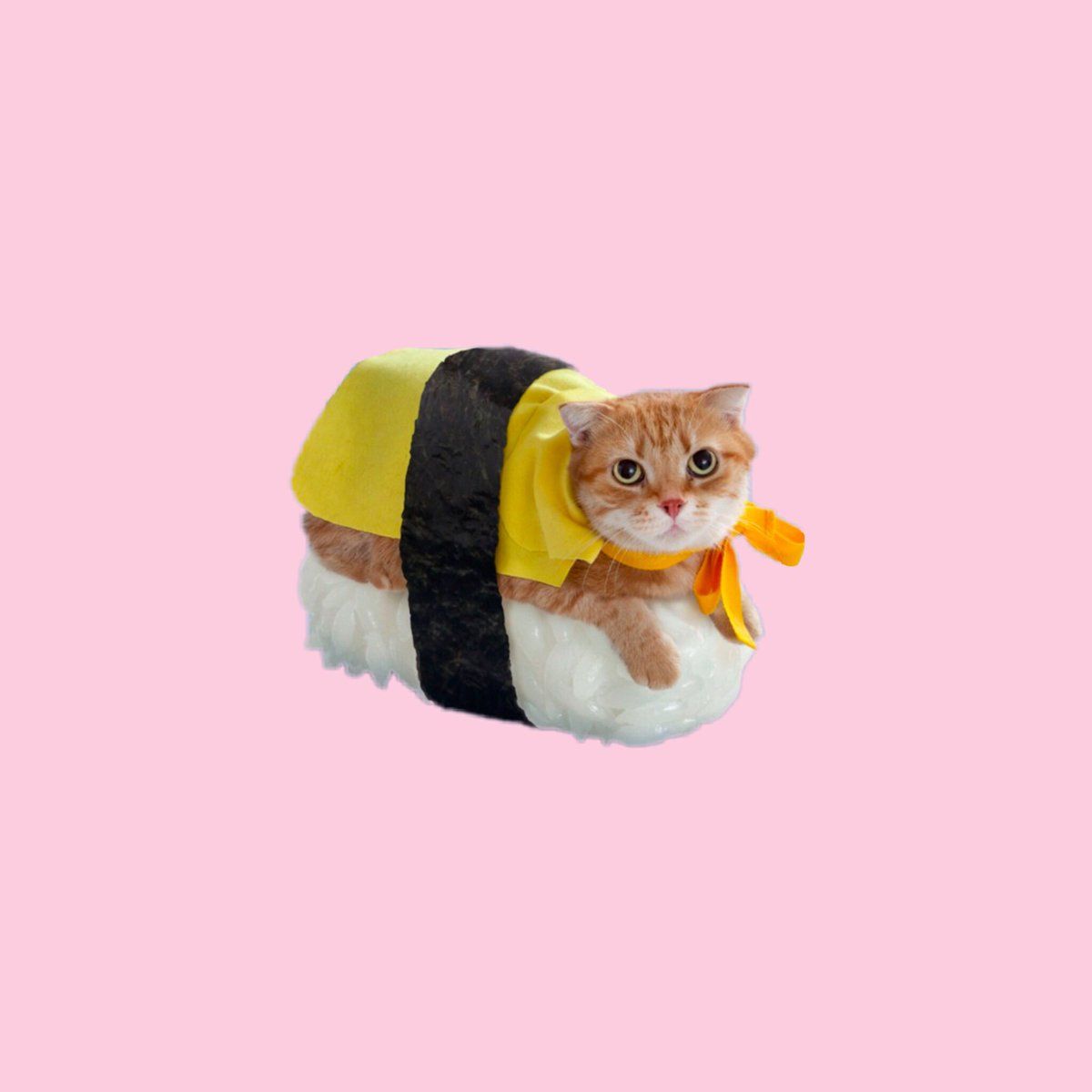 Mini this sushi