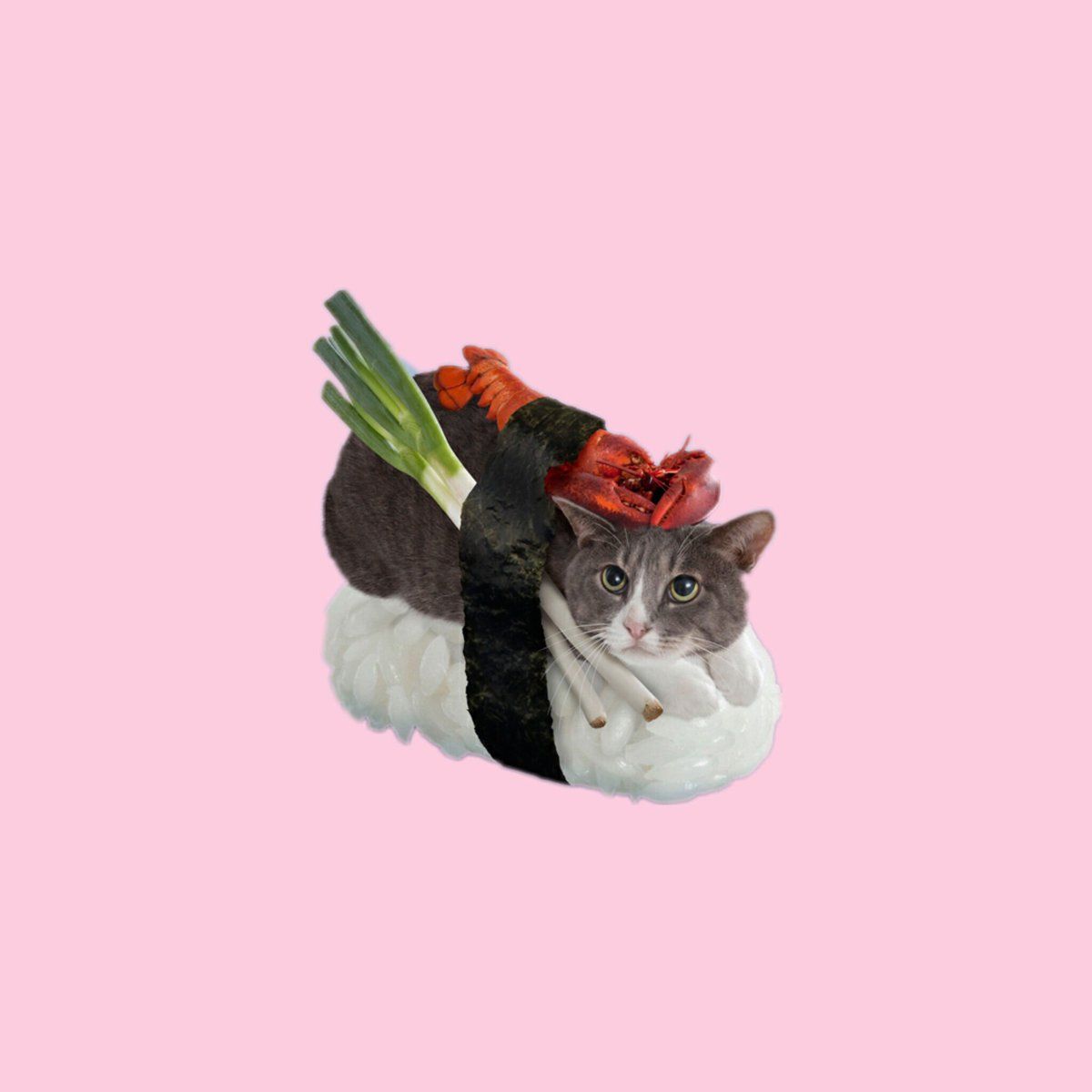 Mini this sushi