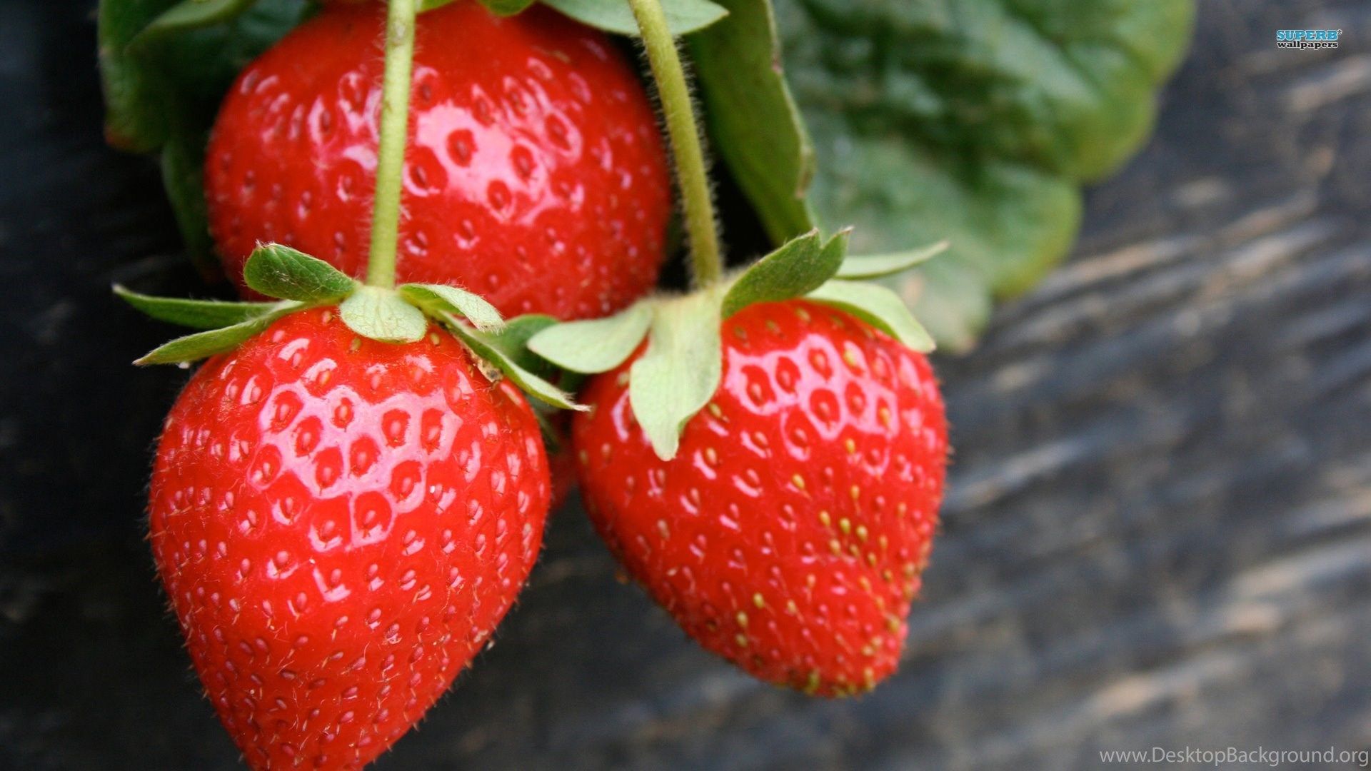 HD Cute Strawberry Fruit Wallpaper 1080p HiReWallpaper 10210