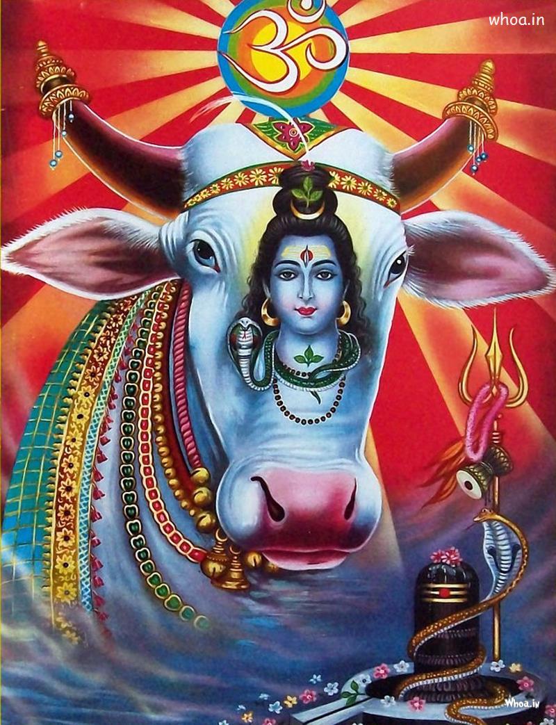 Free Download God Murugan Wallpaper God Image Free Download