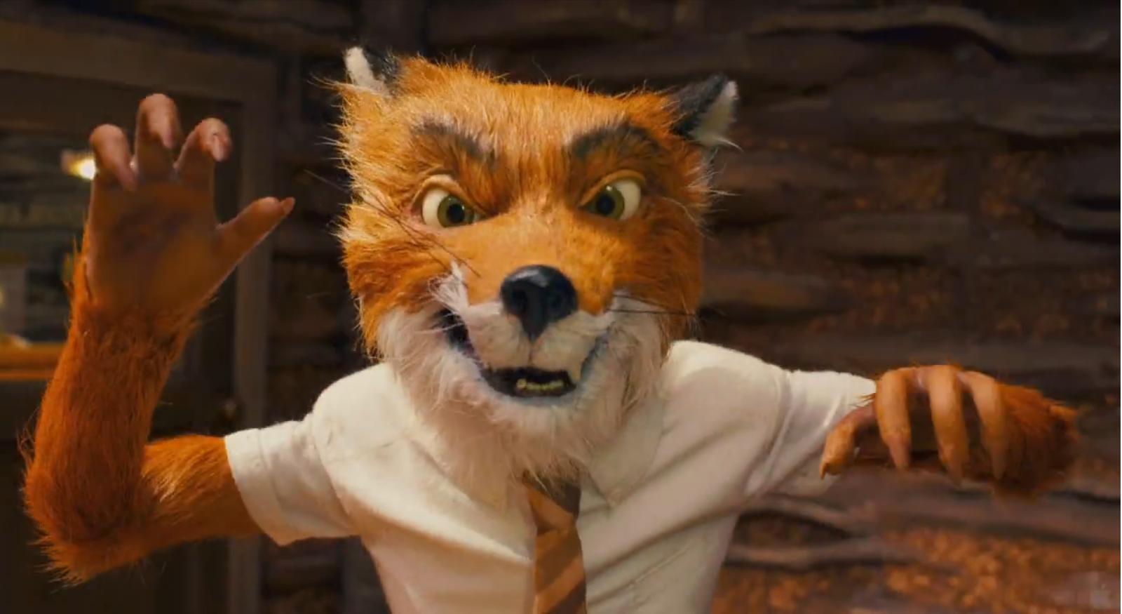 the fox Mr. Fox Photo