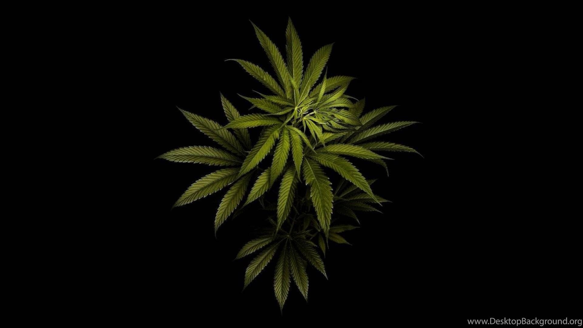 Marijuana Desktop Background