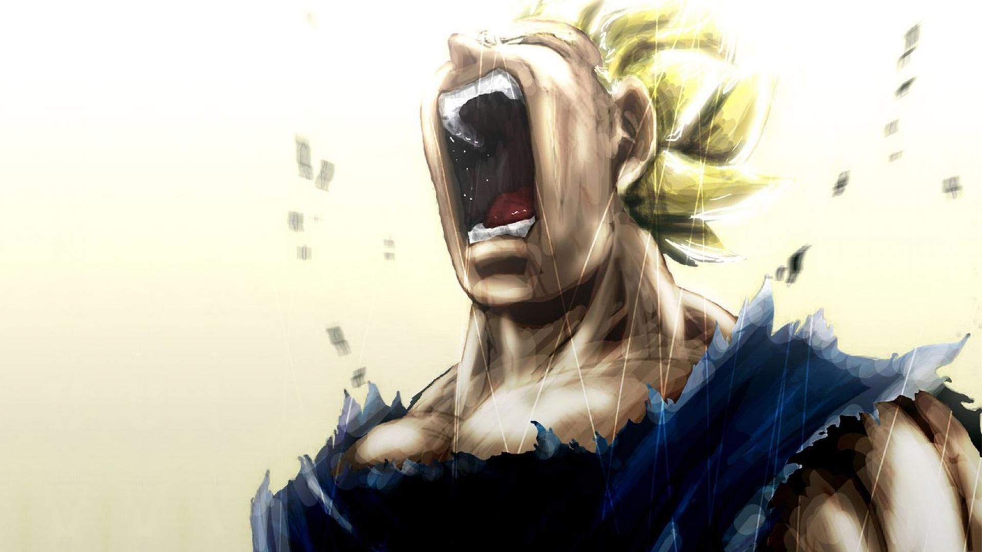 Dragon Ball Z HD Wallpaper Free Download