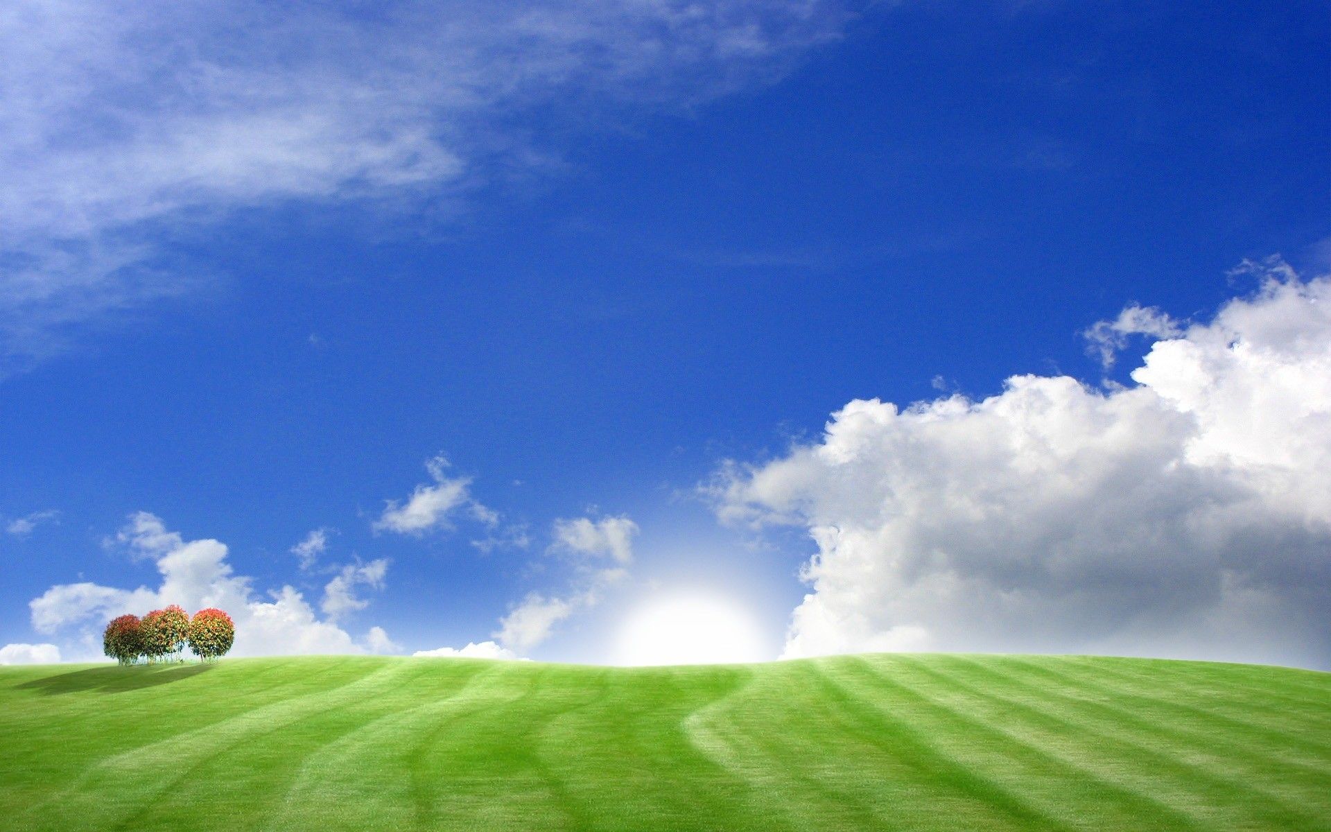 Blue sky and green field summer. Sun. Field wallpaper, Landscape background, Landscape