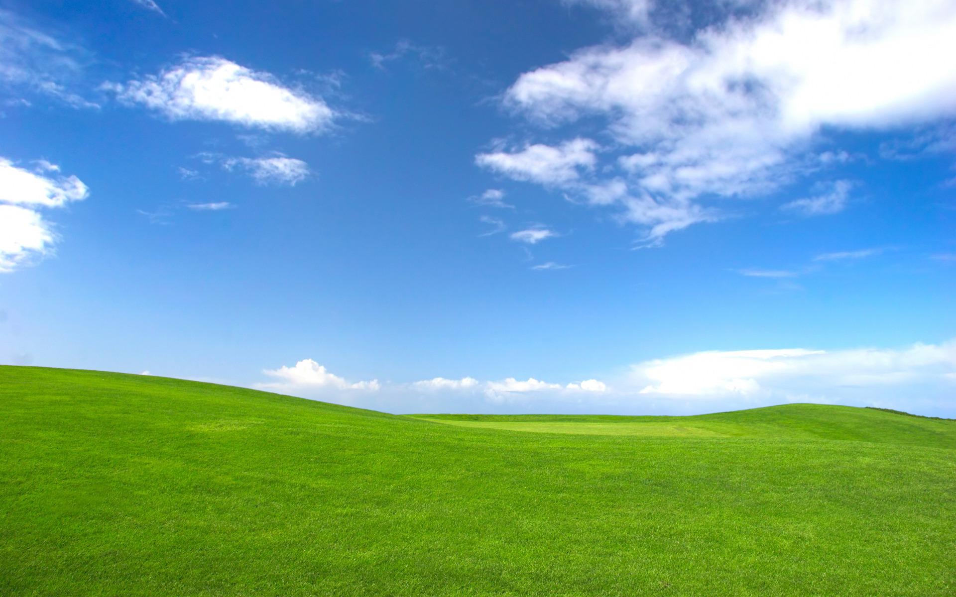 Mood 601.8 Kb. Field of green grass and blue sky