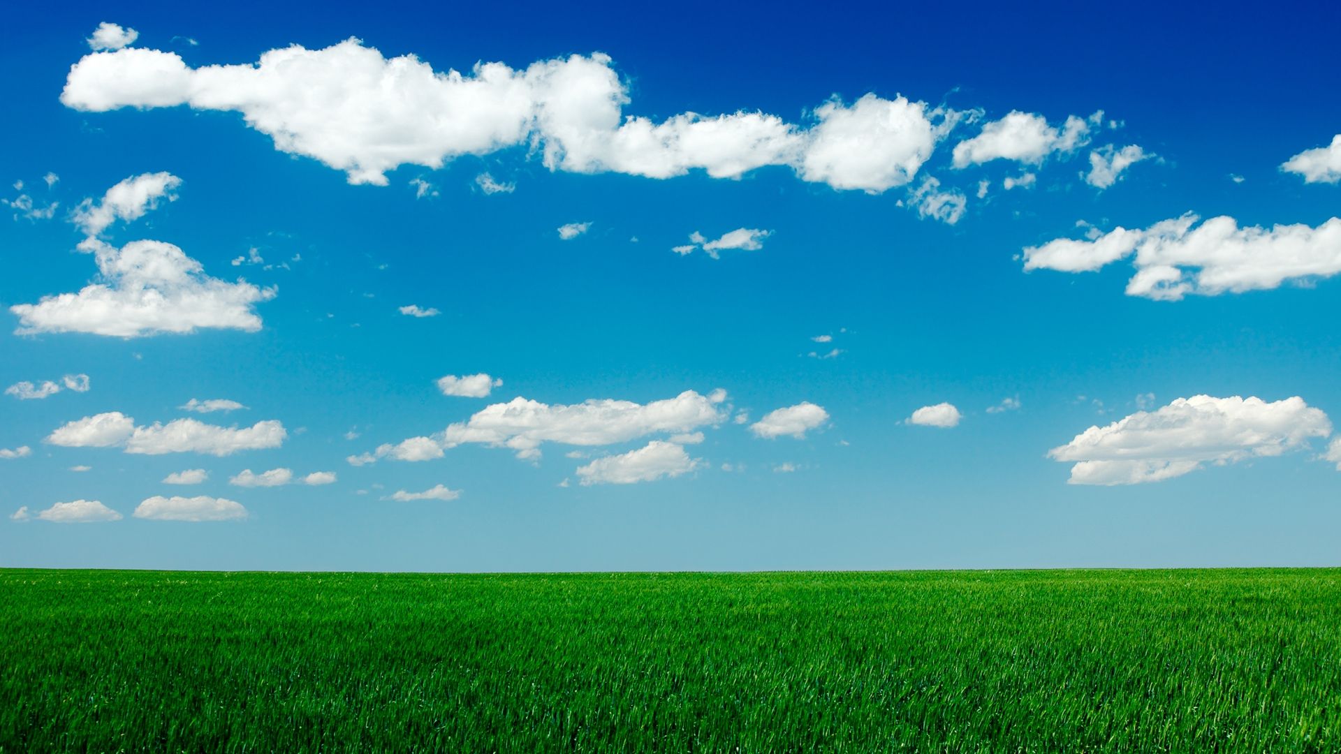 Free download Clear Blue Sky Green Grass Field HD Wallpaper