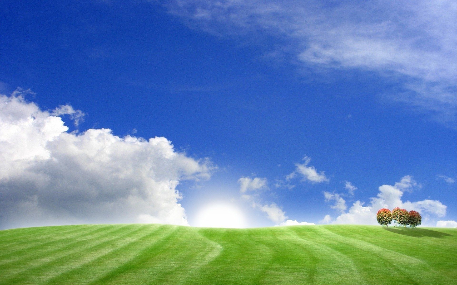 Wallpaper field, tree, grass, clouds, sky, blue sky desktop