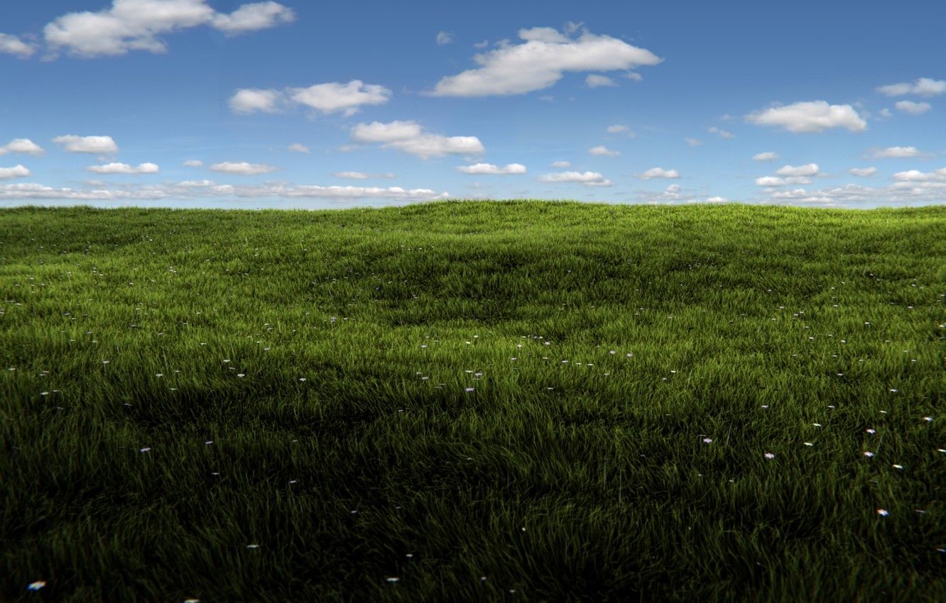 Wallpaper greens, field, summer, the sky, grass, the sun, clouds