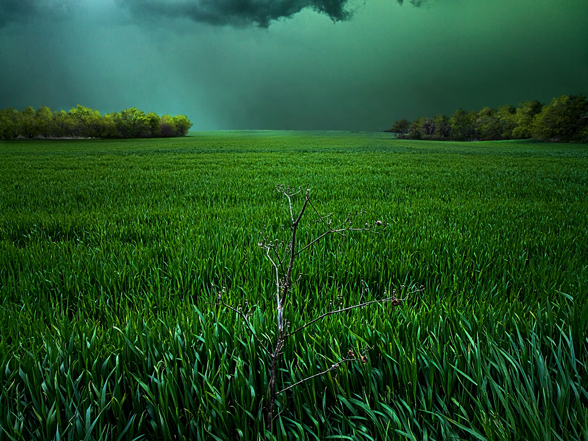 Stormy Sky over Grass Field HD Wallpaper. Background Image