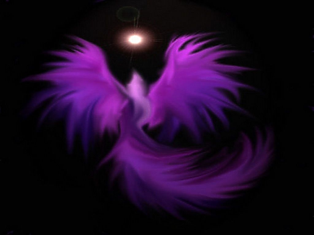 Purple Phoenix Wallpaper Free Purple Phoenix Background