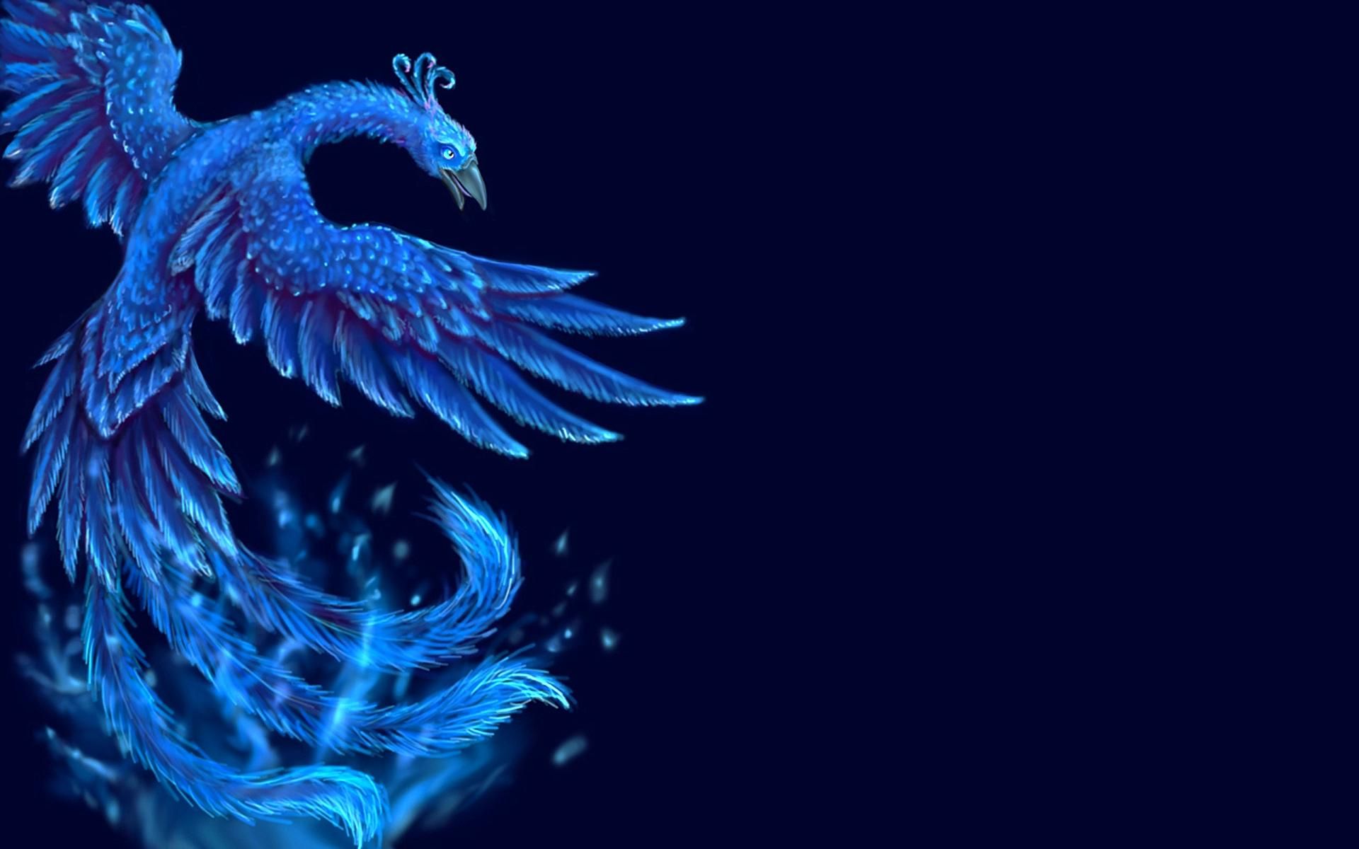4K Phoenix Bird Wallpapers  Top Free 4K Phoenix Bird Backgrounds   WallpaperAccess